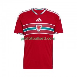 Fotballdrakt Wales Herre Hjemmekit 2026 Kortermet
