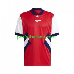 Retro Fotballdrakt Arsenal Icon Herre Hjemmekit 2022-23 Kortermet