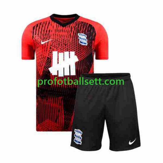 Fotballdrakt Birmingham City Barn Bortekit 2023-2024 Kortermet