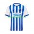 Fotballdrakt Brighton Hove Albion Herre Hjemmekit 2024-2025 Kortermet