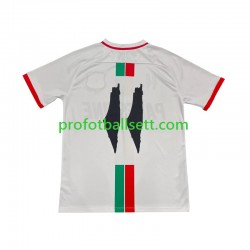Fotballdrakt Club Deportivo Palestino Center Stripre Herre Bortekit 2024-2025 Kortermet