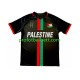 Fotballdrakt Club Deportivo Palestino Center Stripre Herre Hjemmekit 2024-2025 Kortermet