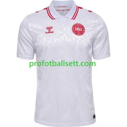 Fotballdrakt Danmark Herre Bortekit Euro 2024 Kortermet