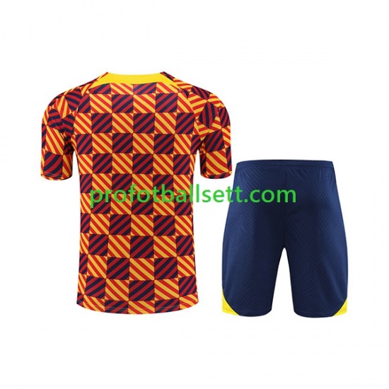 FC Barcelona 2023-2024 Gul Treningstrøye og shorts