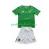 Fotballdrakt Irland Barn Hjemmekit 2024 Kortermet