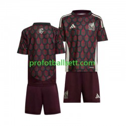 Fotballdrakt Mexico Copa America Barn Hjemmekit 2024 Kortermet