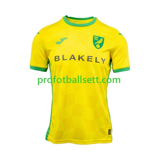 Fotballdrakt Norwich City Herre Hjemmekit 2024-2025 Kortermet