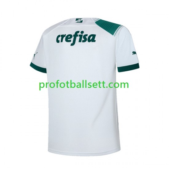 Fotballdrakt Palmeiras Herre Bortekit 2023-2024 Kortermet