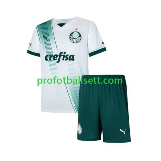 Fotballdrakt Palmeiras Barn Bortekit 2023-2024 Kortermet