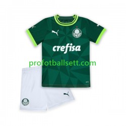 Fotballdrakt Palmeiras Barn Hjemmekit 2023-2024 Kortermet