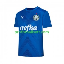 Fotballdrakt Palmeiras Keeper Herre Hjemmekit 2023-2024 Kortermet