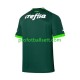 Fotballdrakt Palmeiras Herre Hjemmekit 2023-2024 Kortermet