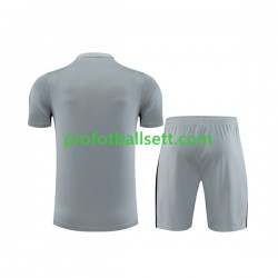 Paris Saint-Germain 2023-2024 Grå Treningstrøye og shorts