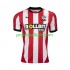Fotballdrakt Southampton Herre Hjemmekit 2024-2025 Kortermet