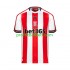 Fotballdrakt Stoke City Herre Hjemmekit 2024-2025 Kortermet