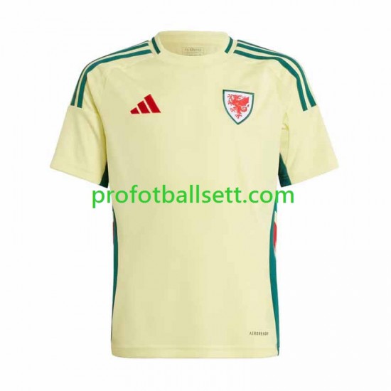 Fotballdrakt Wales Herre Bortekit 2024 Kortermet