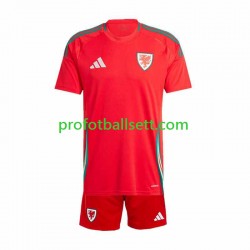 Fotballdrakt Wales Barn Hjemmekit 2024 Kortermet