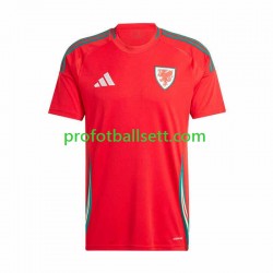 Fotballdrakt Wales Herre Hjemmekit 2024 Kortermet