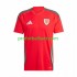 Fotballdrakt Wales Herre Hjemmekit 2024 Kortermet
