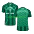 Fotballdrakt Werder Bremen Herre Hjemmekit 2024-2025 Kortermet