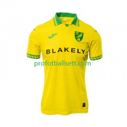 Fotballdrakt Norwich City Herre Hjemmekit 2025-2026 Kortermet