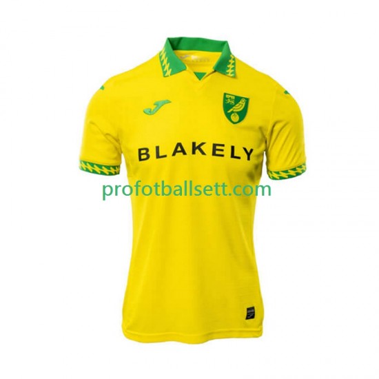 Fotballdrakt Norwich City Herre Hjemmekit 2025-2026 Kortermet