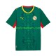 Fotballdrakt Senegal Herre Bortekit 2026 2027 Kortermet