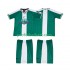 Retro Fotballdrakt Nigeria 1996 Barn Hjemmekit Kortermet